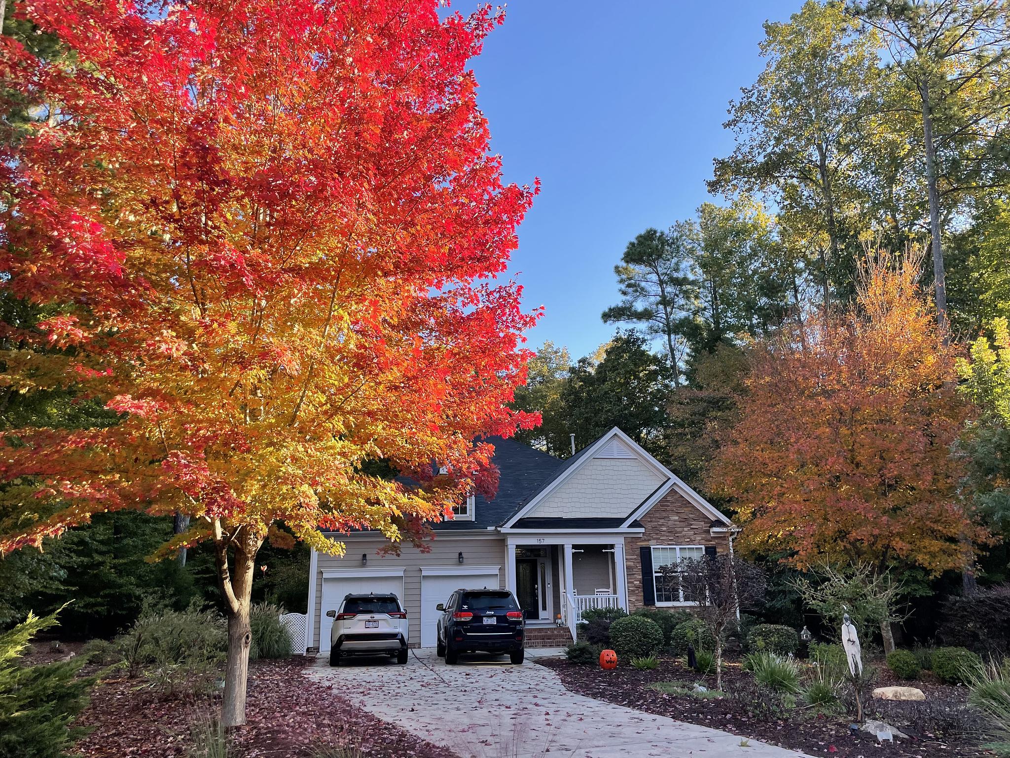Fall Colors in North Carolina